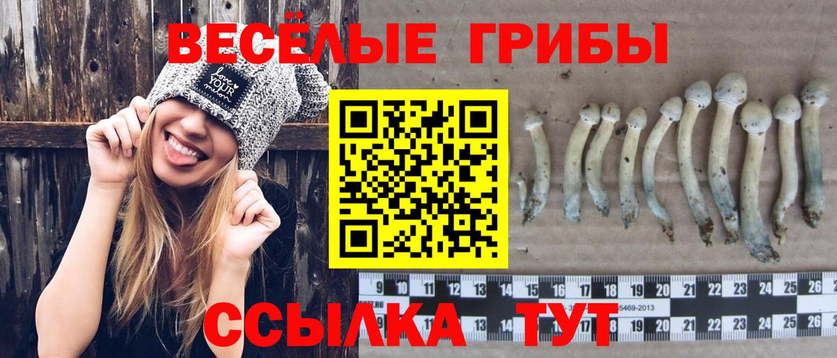 Сердобск  Галлюциногенные грибы мухоморы  Вход с VPN 