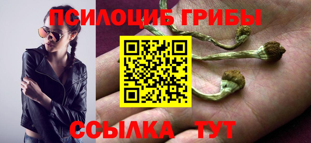 Псилоцибиновые грибы Magic Shrooms Сердобск