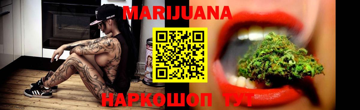 Бошки Шишки план Сердобск